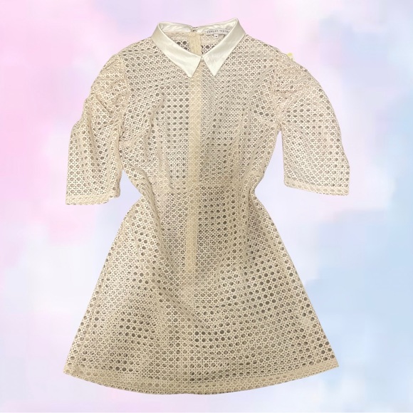 Beautiful puff sleeve mini dress - Picture 3 of 4